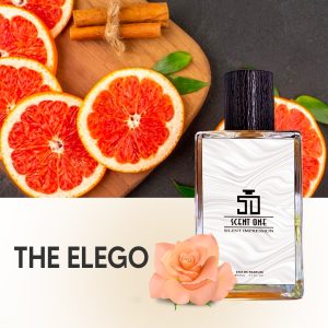 The EleGo