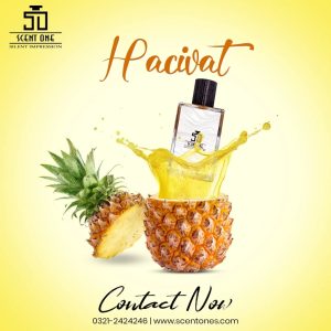 Hacivat  by Scentone